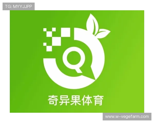 开云体育旗舰平台如何保障用户体验与安全，打造值得信赖的体育娱乐平台