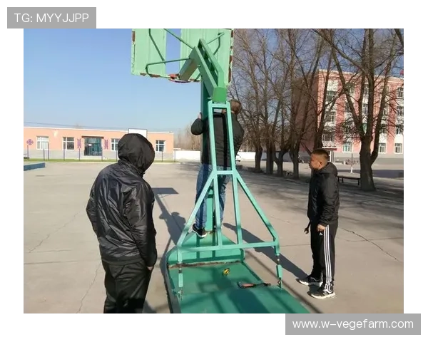 开云体育真人国际平台全面解析如何实现高效安全的线上体育博彩体验