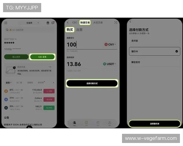 开云在线app注册登录流程详解帮助新手玩家快速上手开启游戏之旅 开云在线app注册登录流程详解帮助新手玩家快速上手开启游戏之旅