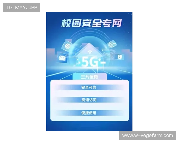 开运旗舰厅登录线路最新优化方案，提升登录速度与安全保障的完美结合