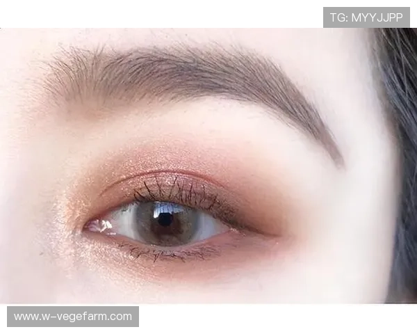 快速获取开云app安卓客户端下载链接，确保版本最新功能完备