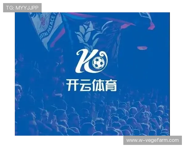 探索开云体育平台的多样化功能,提升你的体育体验与乐趣 探索开云体育平台的多样化功能,提升你的体育体验与乐趣