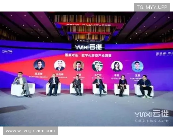 开云在线登录网页安全性分析，保障玩家个人信息与账户安全