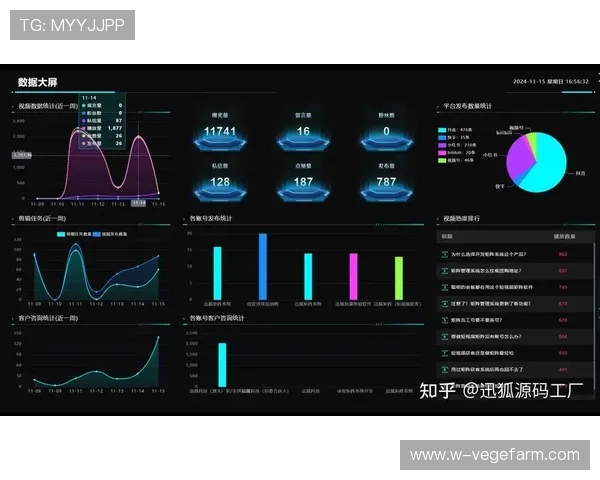 开云平台网站品牌大使皮耶罗助力提升品牌影响力与用户粘性的详细分析