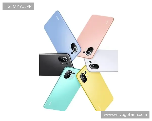 乐鱼体育app官方登录入口最新版本上线,优化登录流程提升用户体验与操作便捷性 乐鱼体育app官方登录入口最新版本上线,优化登录流程提升用户体验与操作便捷性