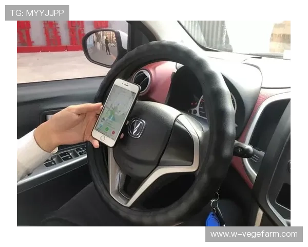 开云官方app是否为官方入口?安全使用指南及识别真伪的实用建议 开云官方app是否为官方入口?安全使用指南及识别真伪的实用建议